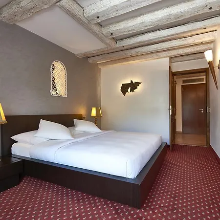 Hotel D'alleves Genewa